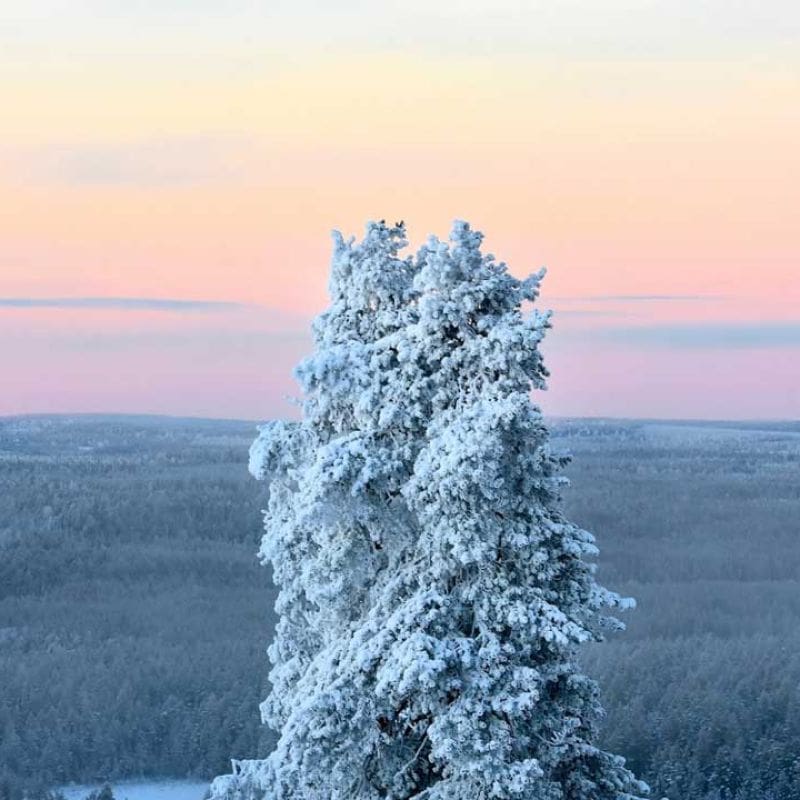 Luontokohteet