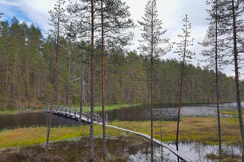 KYLMÄLUOMA HIKING AND FOREST AREA